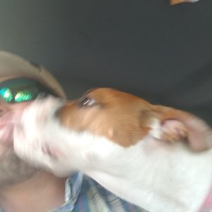 Meet your Posher, Richard